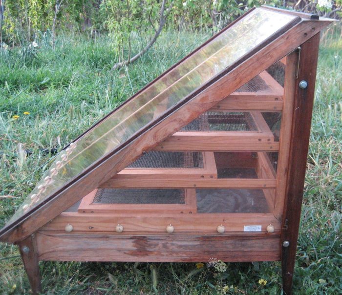 Diy solar food dehydrator