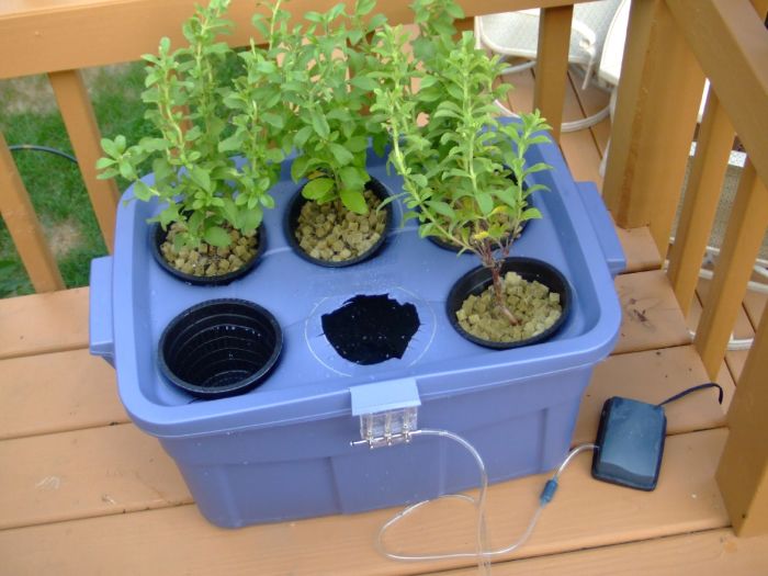 Indoor hydroponic garden diy