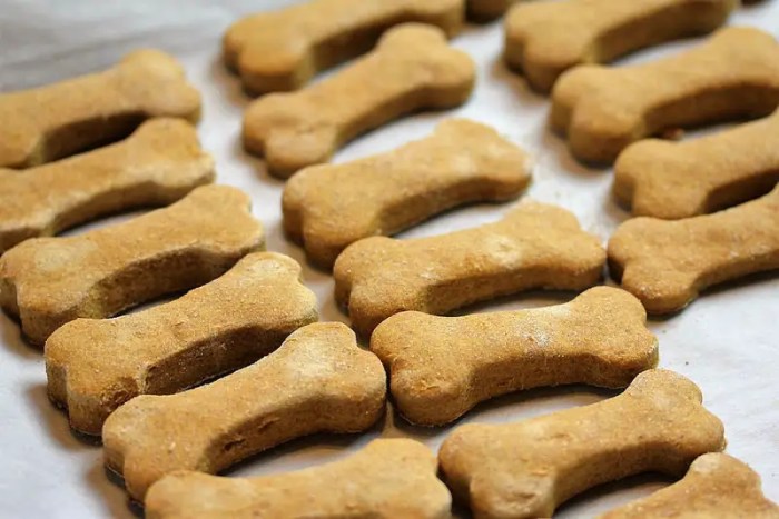 Dog treats diy