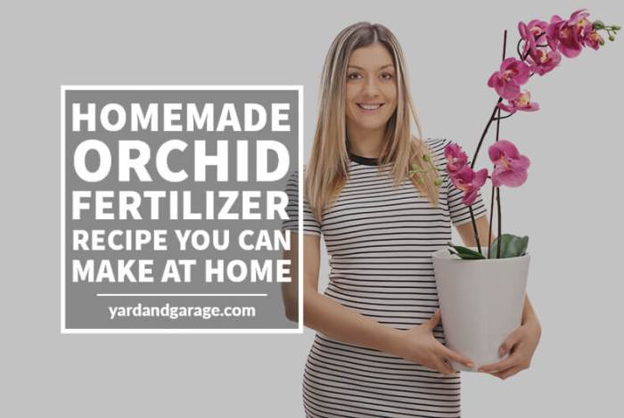 Orchid fertilizer diy