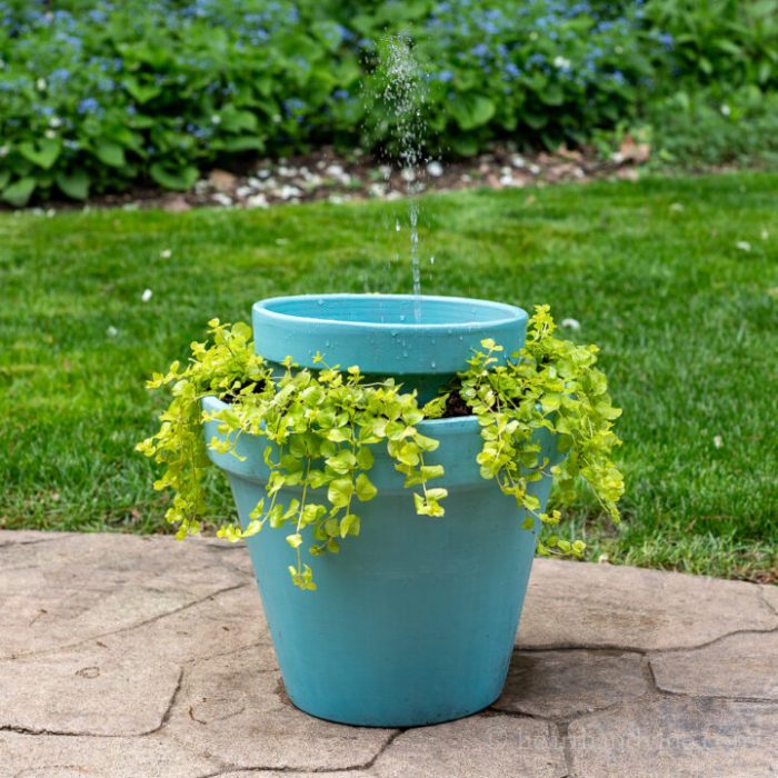 Diy solar fountains